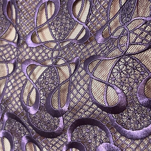 Marios Schwab Guipure Lace and Satin Dress w/ Nude Illusion Lining - Picture 6 of 12